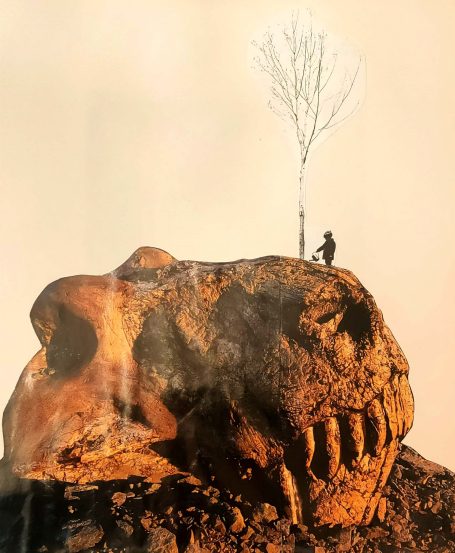 Regar una vez a la semana