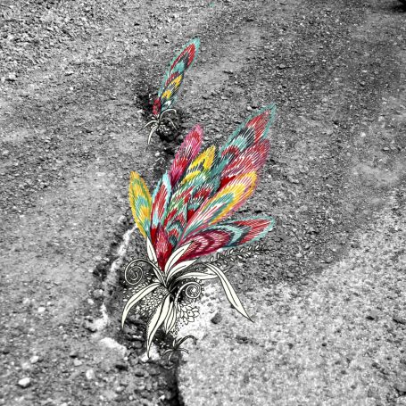 Buscando en las grietas